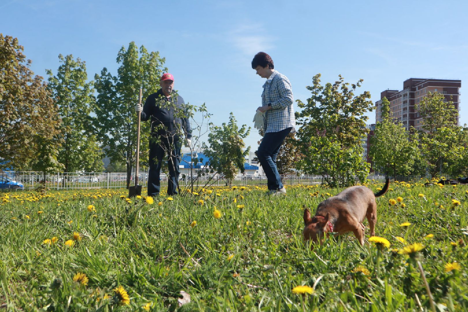 Пущино, Лес Победы, экология