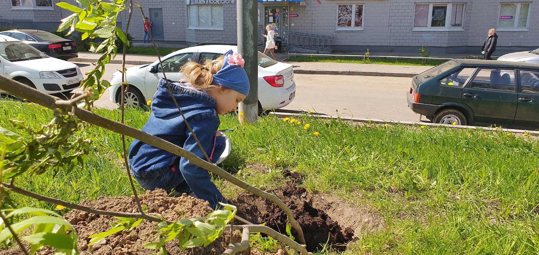 Лес Победы, Домодедово, акция
