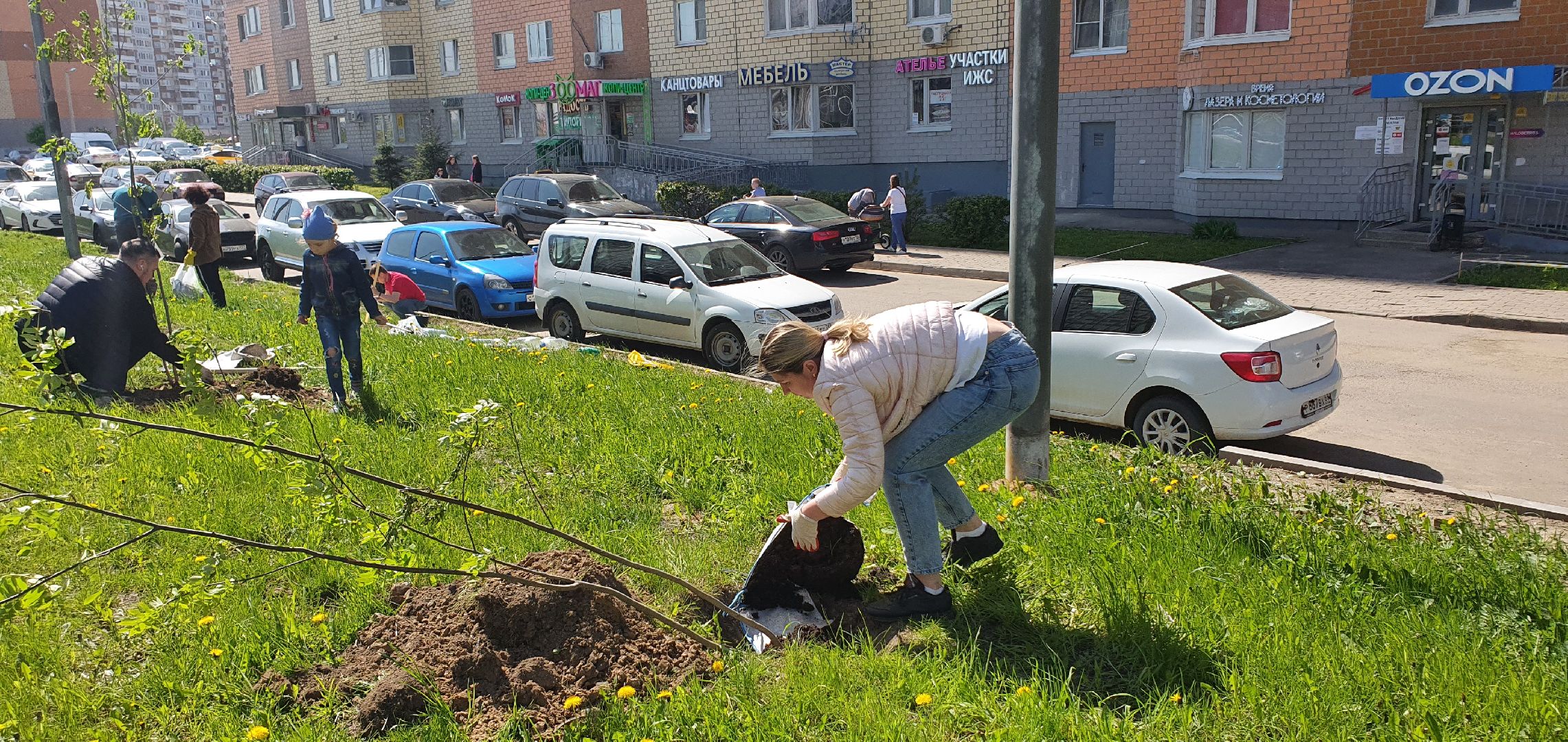 Лес Победы, Домодедово, акция