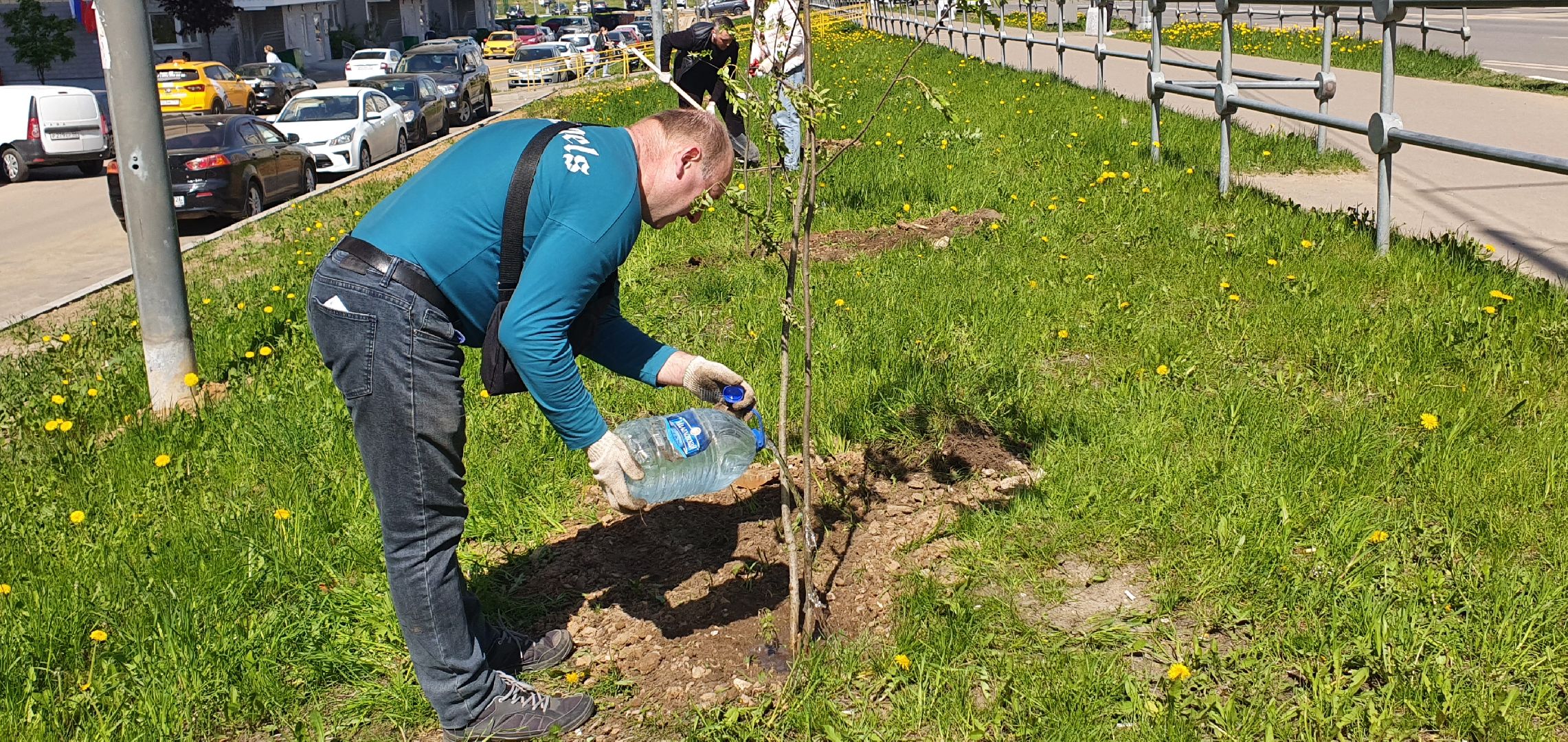 Лес Победы, Домодедово, акция