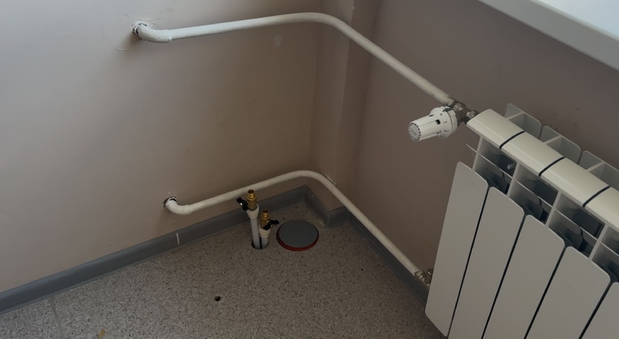 шаховская, ремонт, образование,