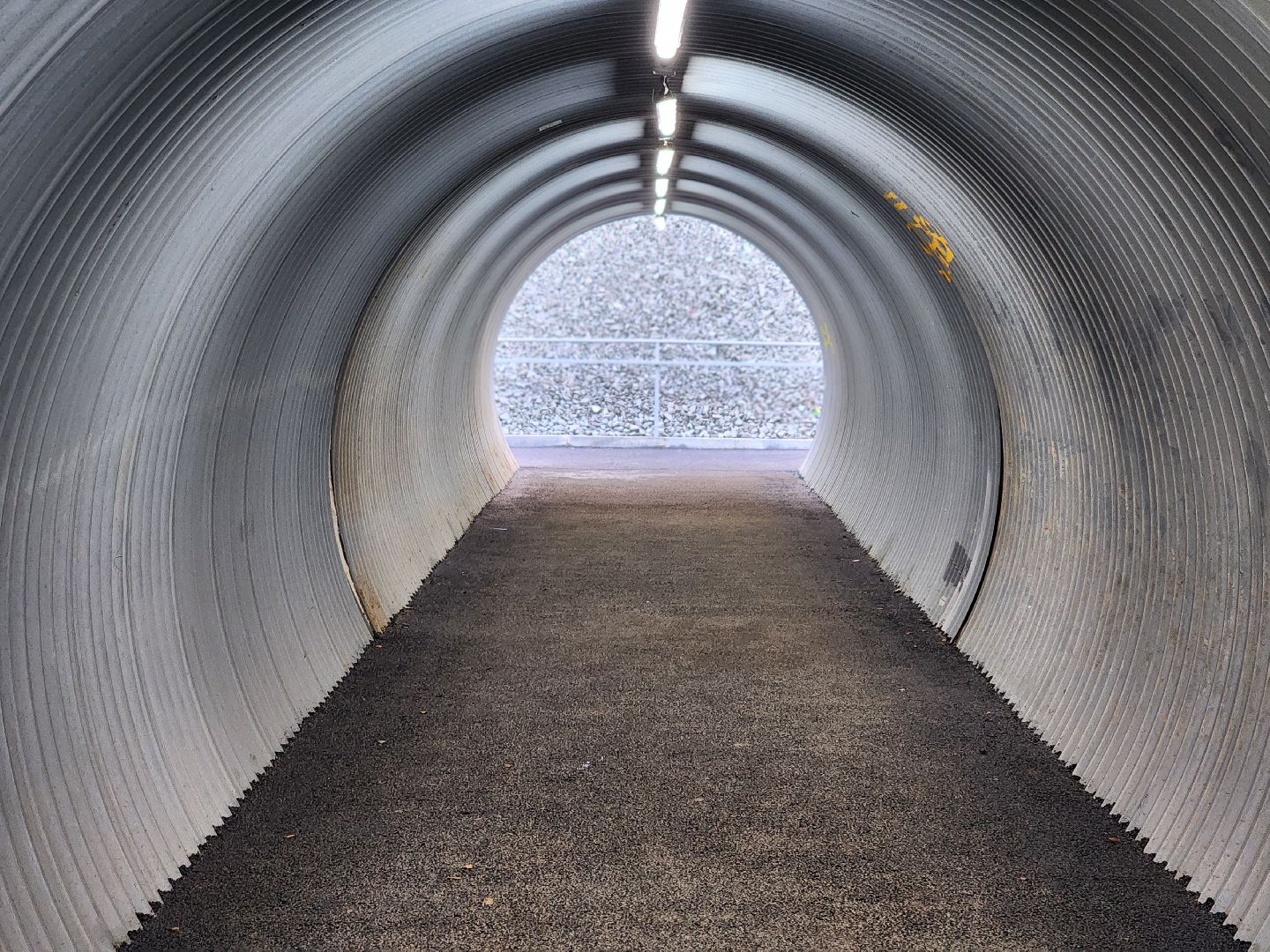 реконструкция м-8, лесной, пушкинский городской округ, строительство  дорог, ярославское шоссе, м-8 холмогоры, расширение м-8,кощейково,подземный переход,остановка общественного транспорта,