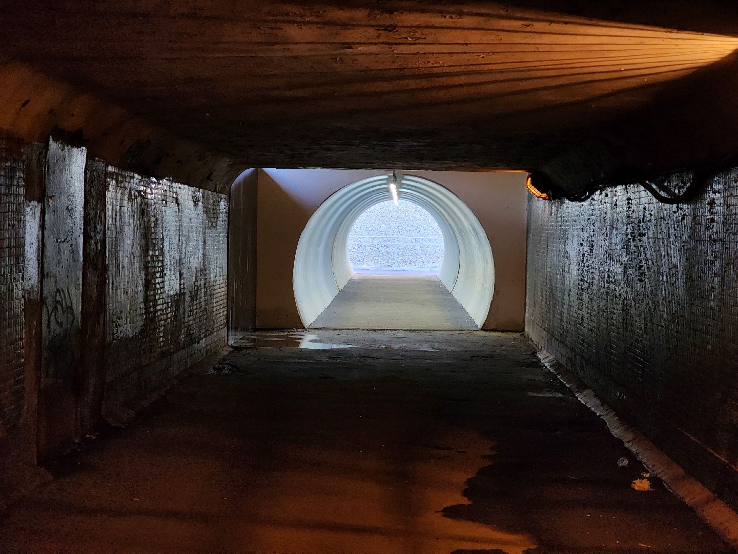 реконструкция м-8, лесной, пушкинский городской округ, строительство  дорог, ярославское шоссе, м-8 холмогоры, расширение м-8,кощейково,подземный переход,остановка общественного транспорта,