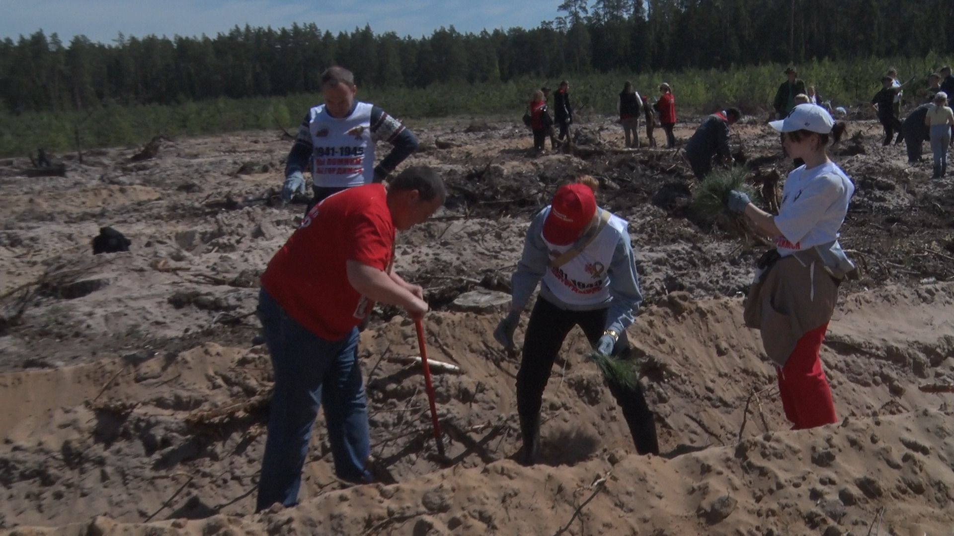 Лес Победы, акция, Орехово-Зуево, Заголовацкий, Коркин, посадка леса