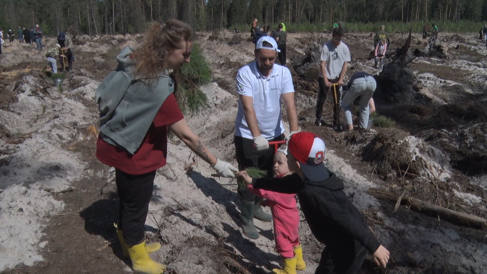 Лес Победы, акция, Орехово-Зуево, Заголовацкий, Коркин, посадка леса