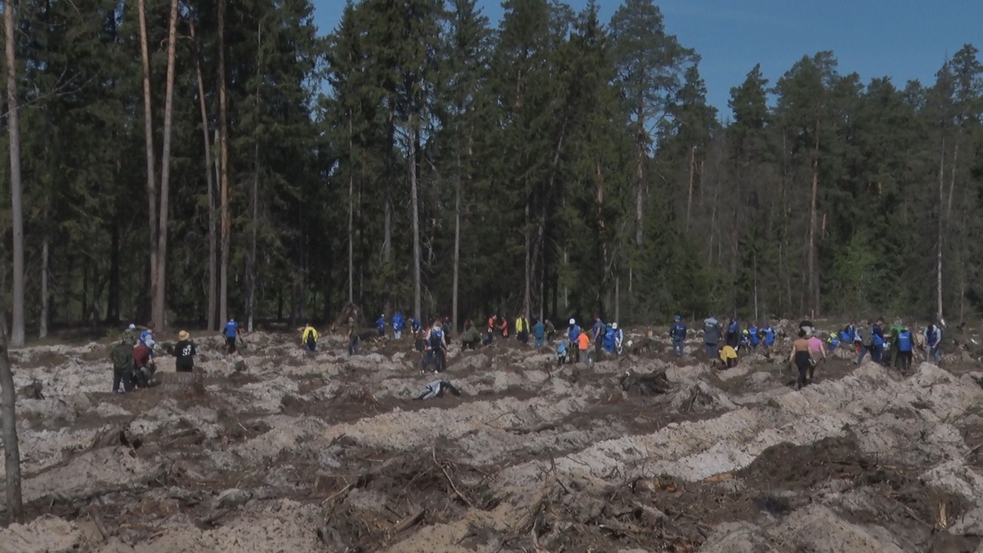 Лес Победы, акция, Орехово-Зуево, Заголовацкий, Коркин, посадка леса