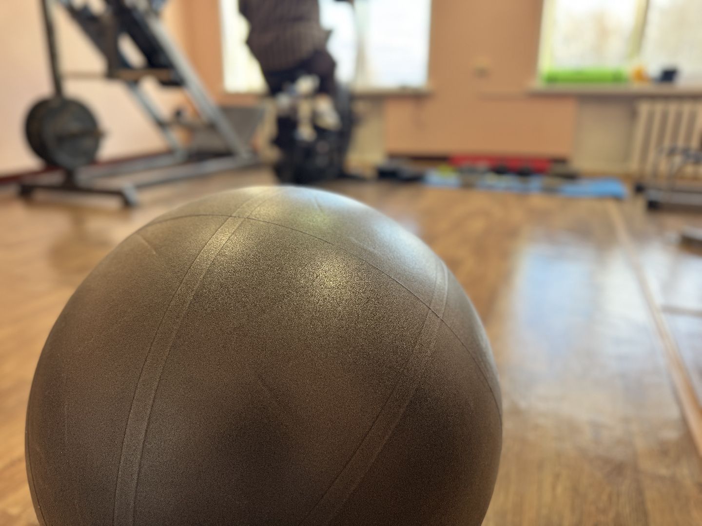 шаховская, спорт, тренажерный зал,