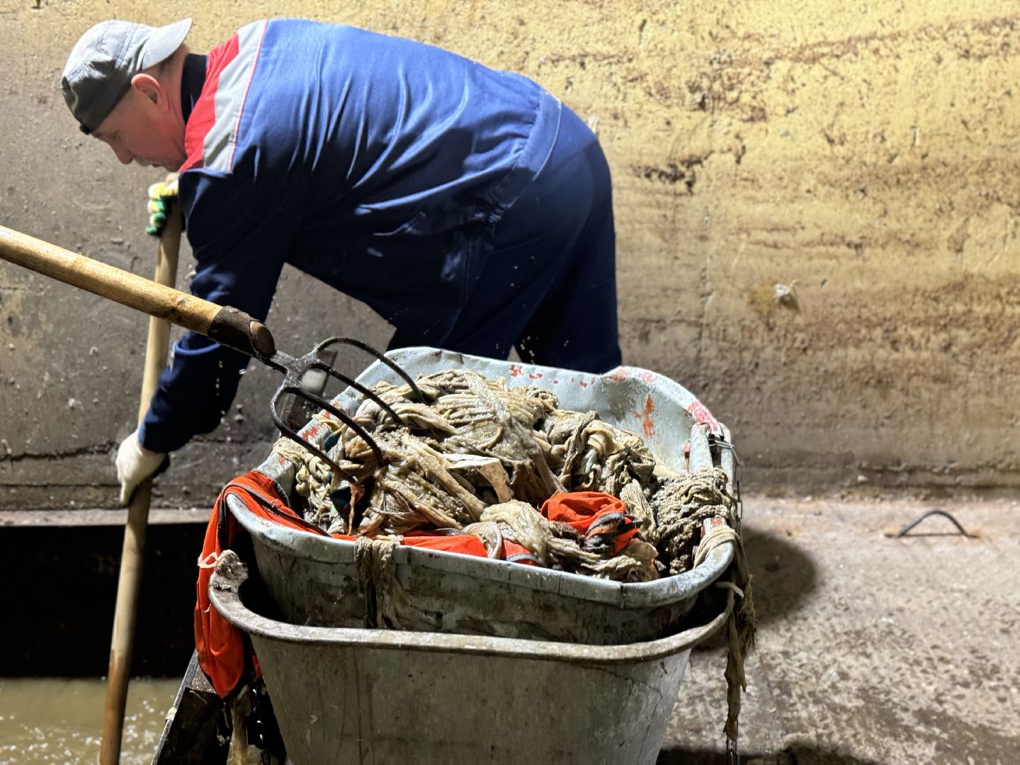 засор канализации, ленинский го, жкх,