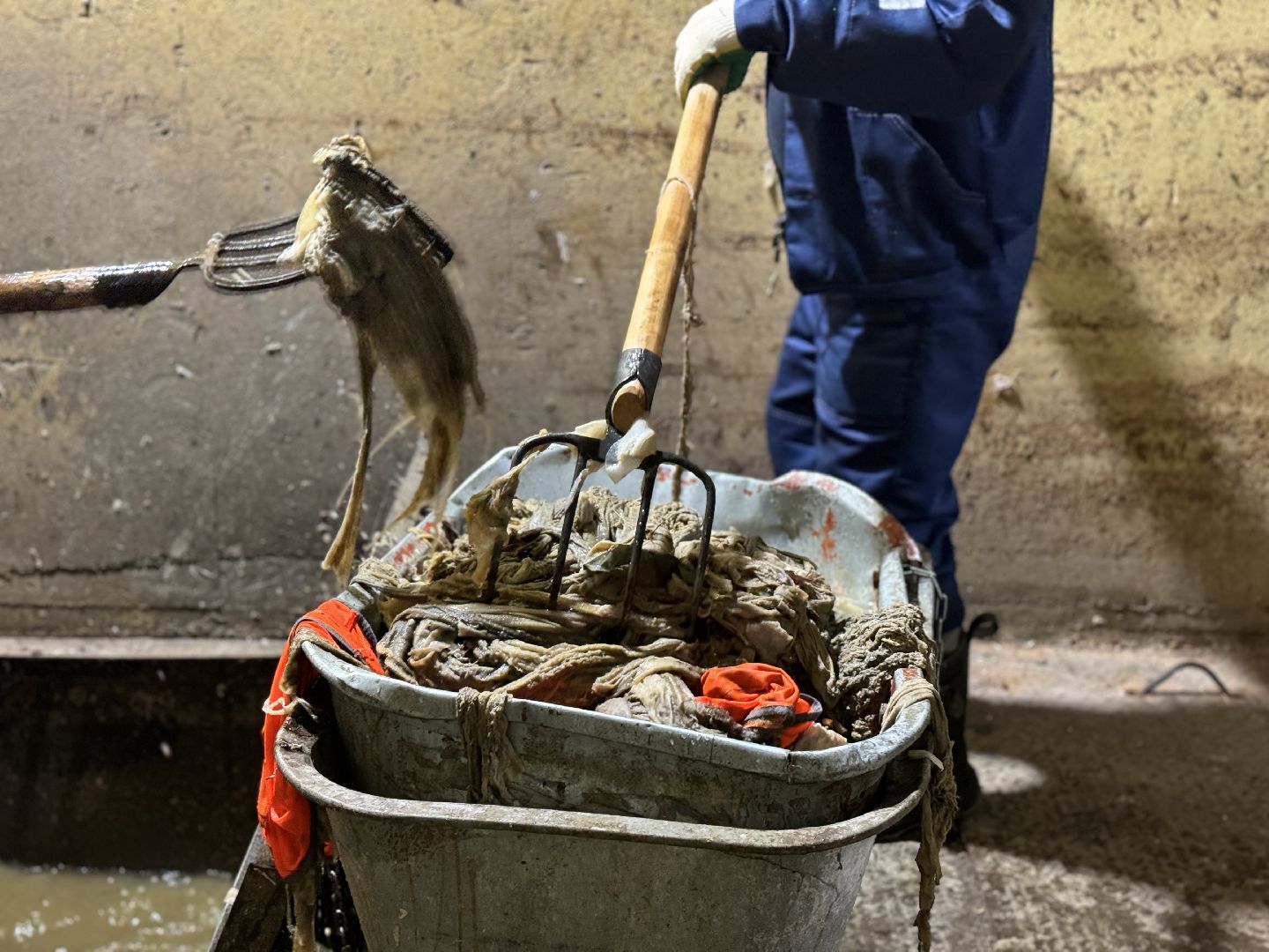 засор канализации, ленинский го, жкх,