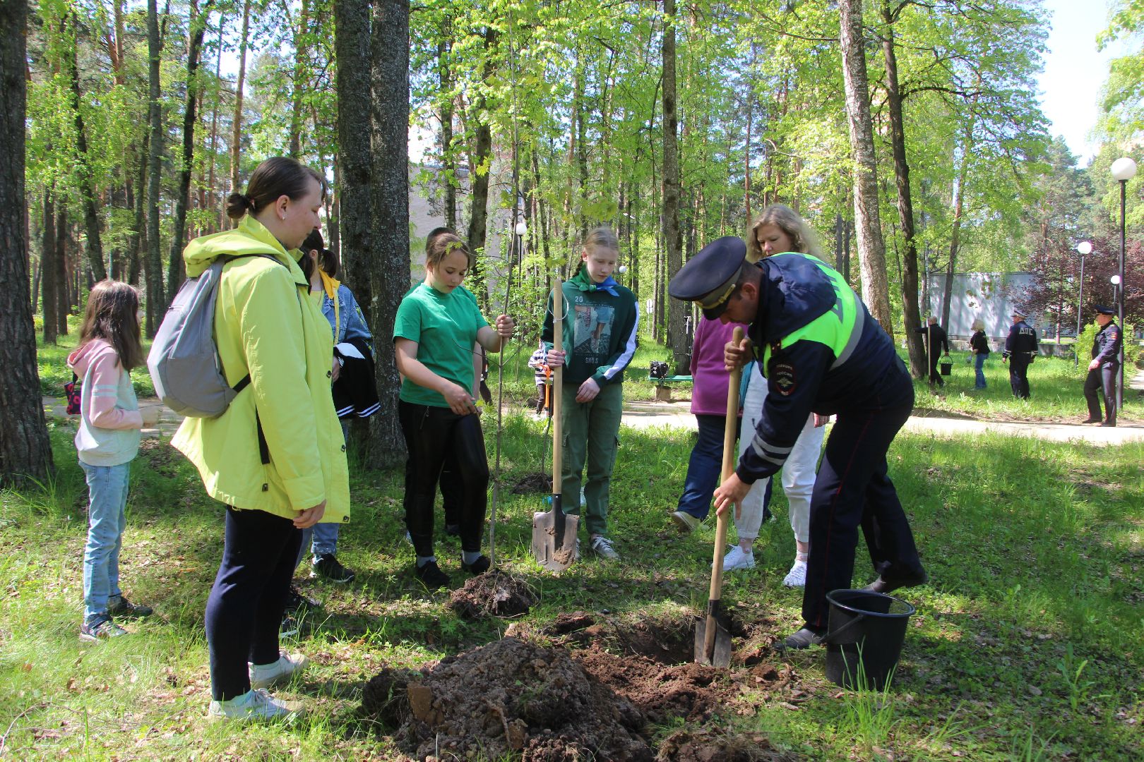 Протвино, Лес Победы, экология, благоустройство, дети