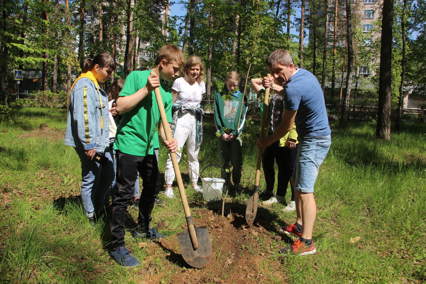 Протвино, Лес Победы, экология, благоустройство, дети