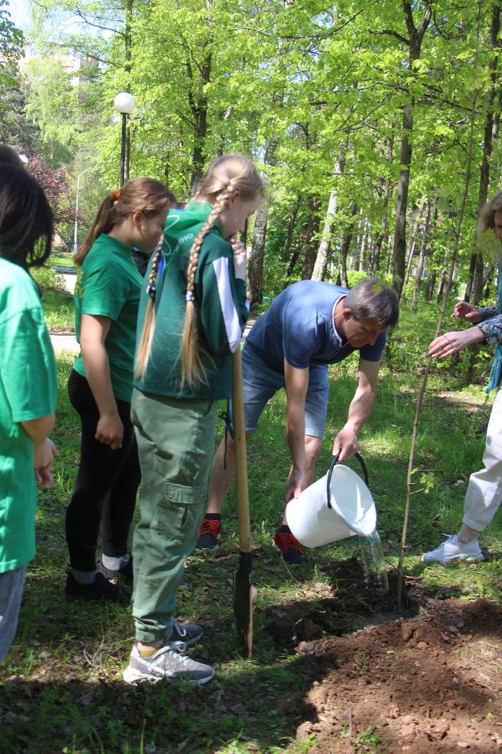 Протвино, Лес Победы, экология, благоустройство, дети