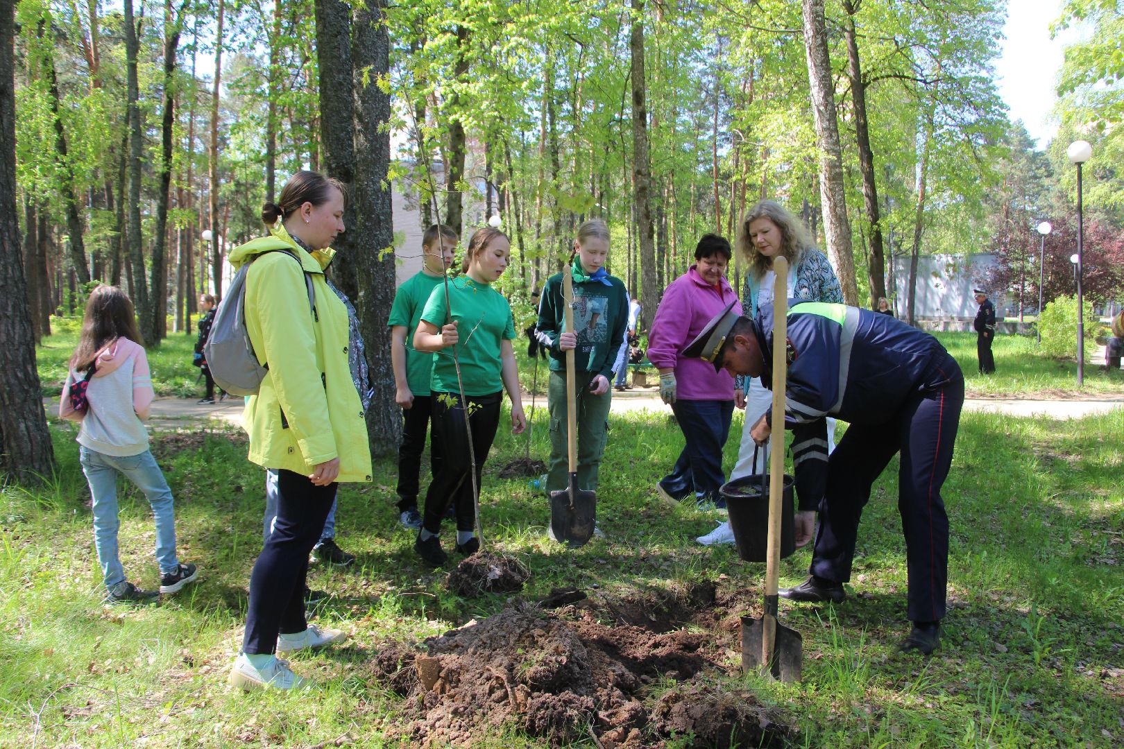 Протвино, Лес Победы, экология, благоустройство, дети