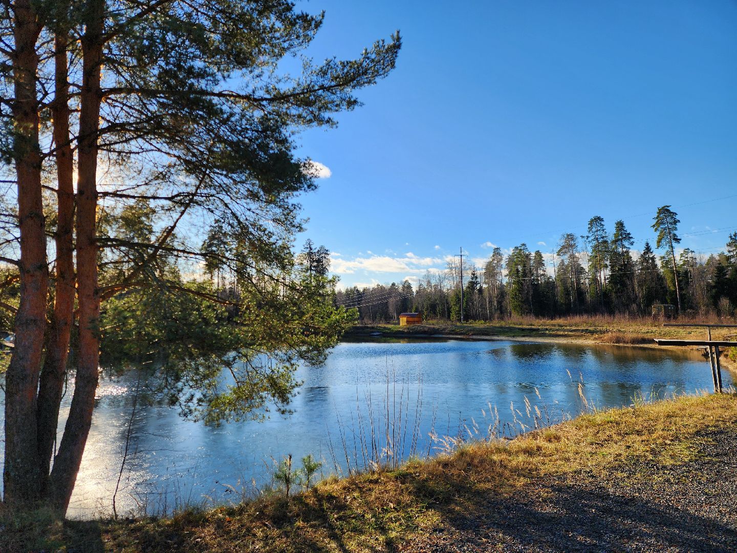 ногинск, мамонтово, конный клуб, лощади, дети,