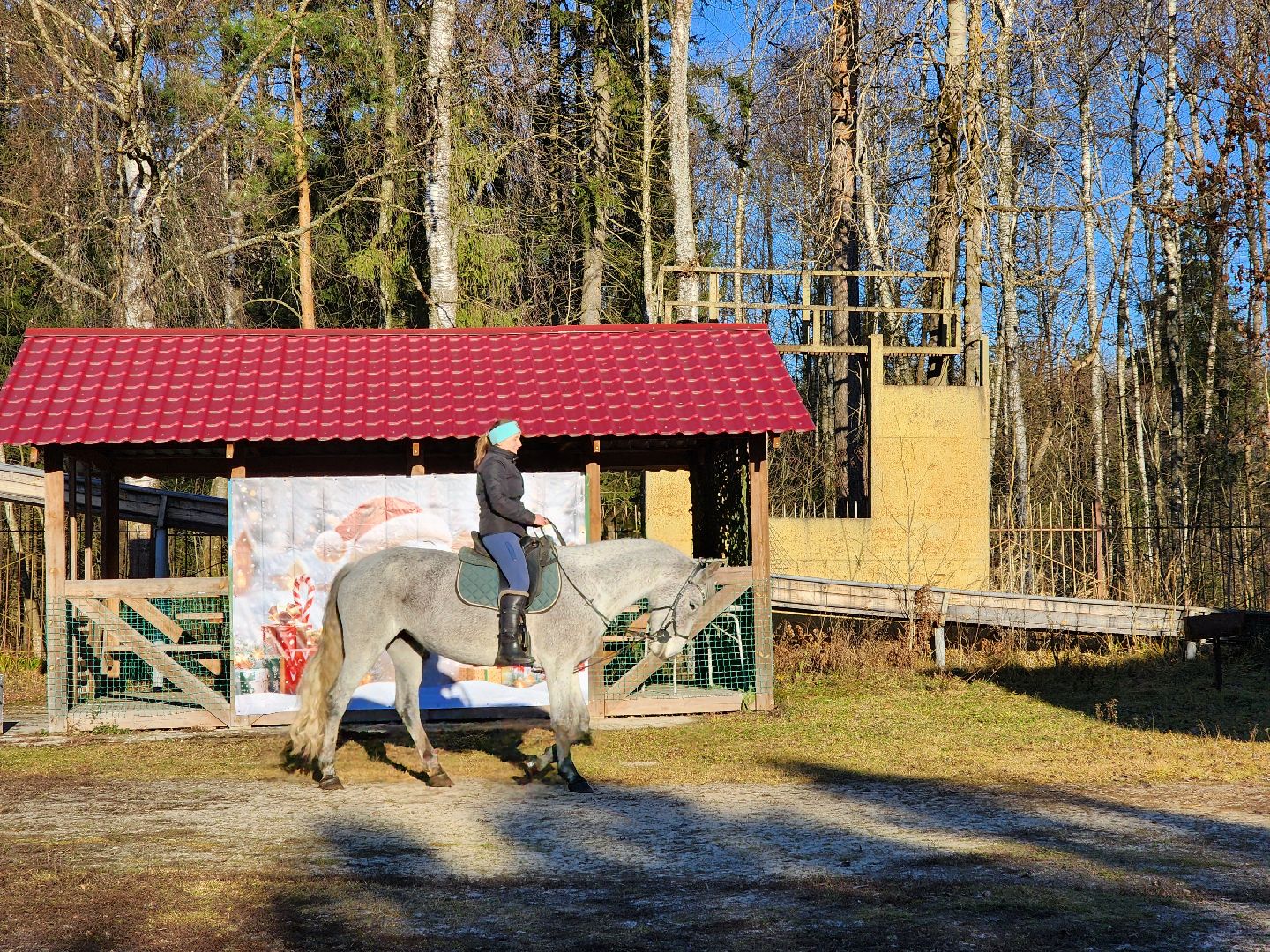 ногинск, мамонтово, конный клуб, лощади, дети,