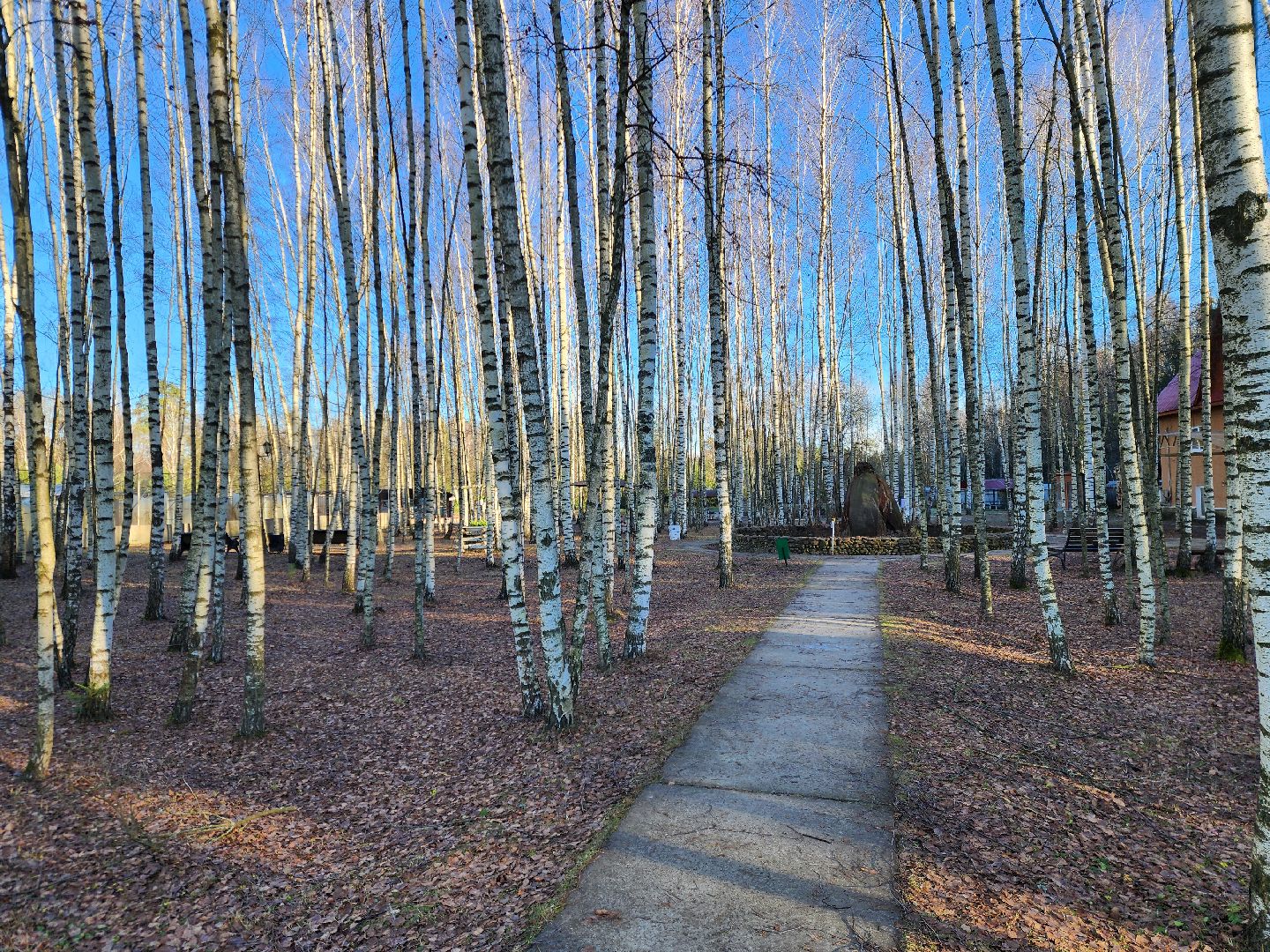 ногинск, мамонтово, конный клуб, лощади, дети,