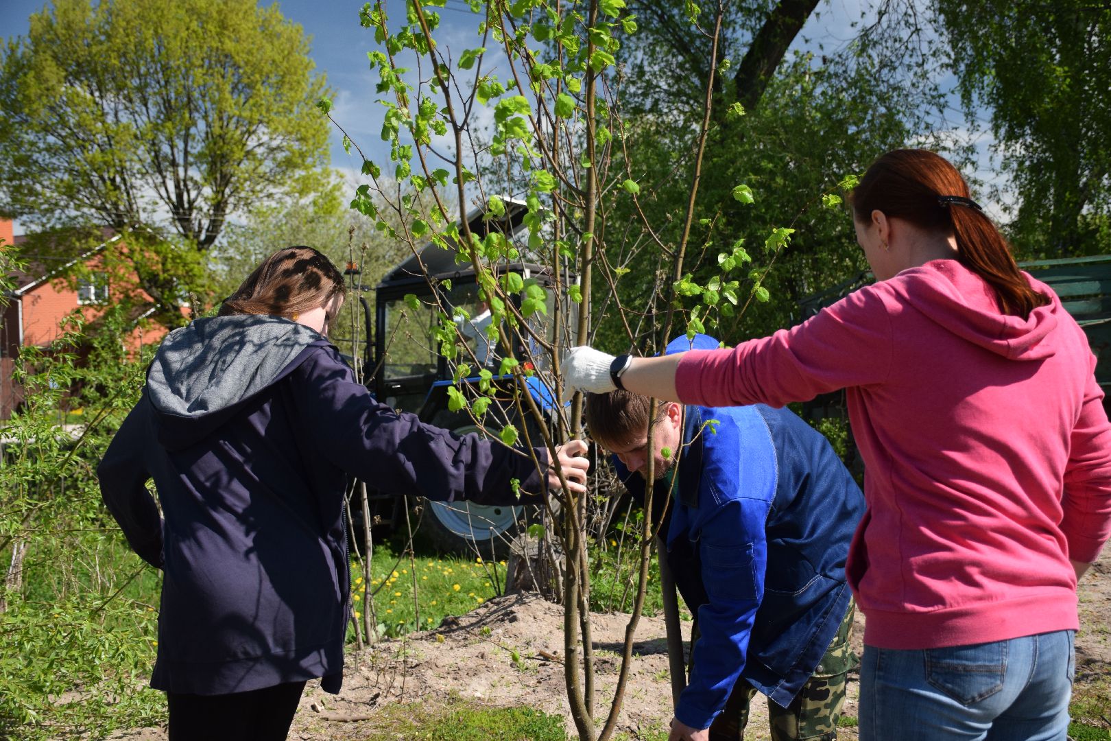 Павловский Посад, городской округ Павловский Посад, Лес Победы, акция, деревья