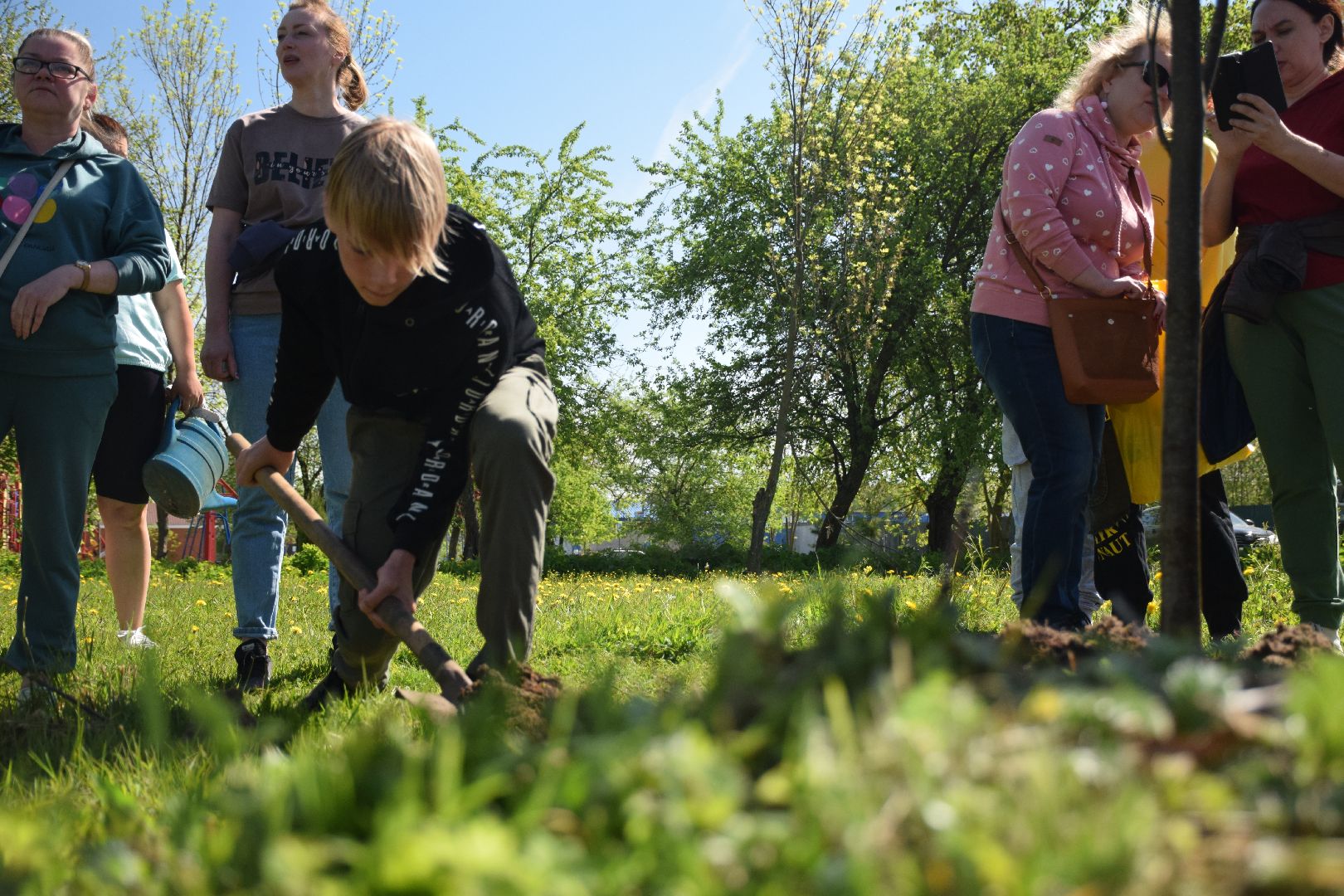 Павловский Посад, городской округ Павловский Посад, Лес Победы, акция, деревья