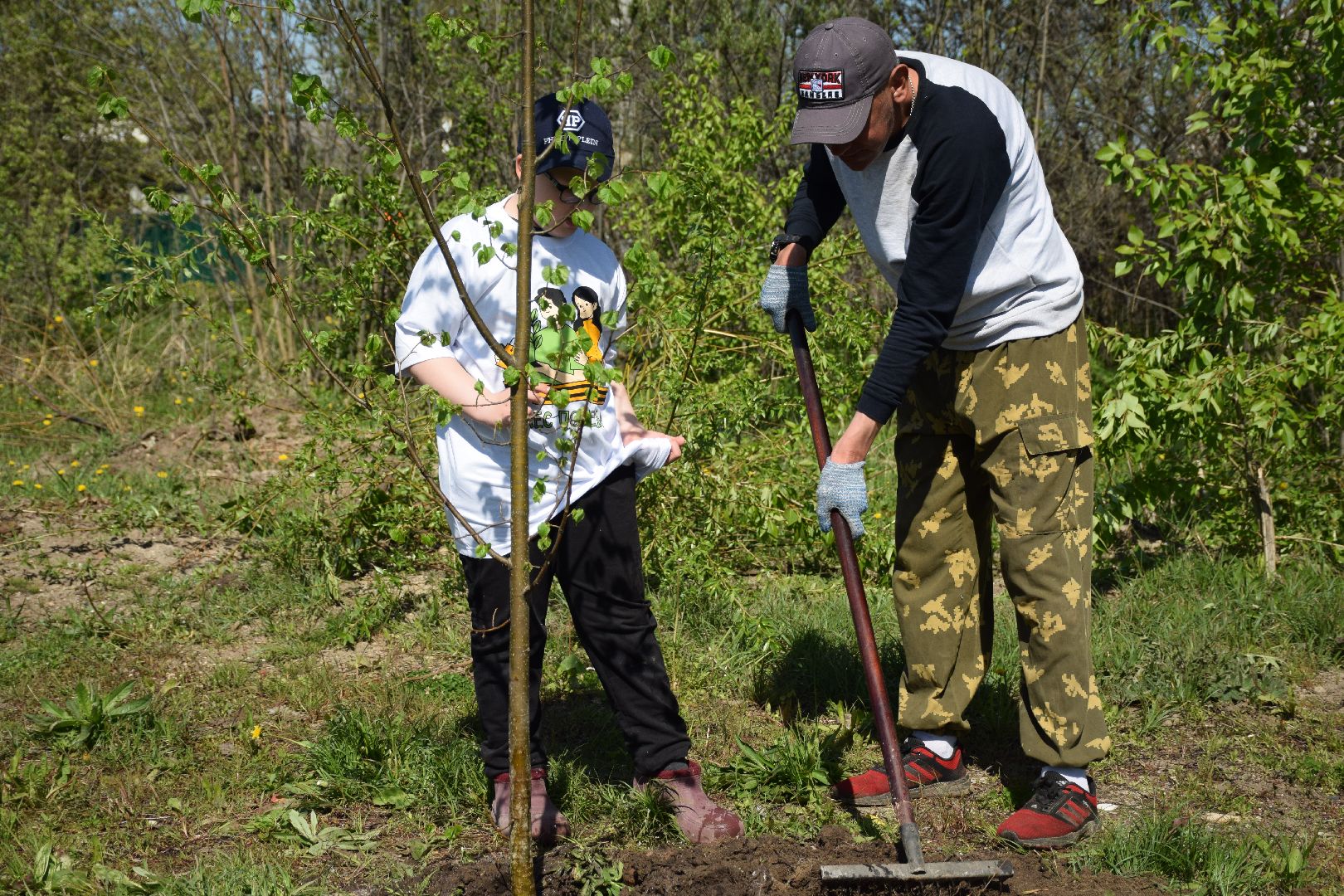 Павловский Посад, городской округ Павловский Посад, Лес Победы, акция, деревья