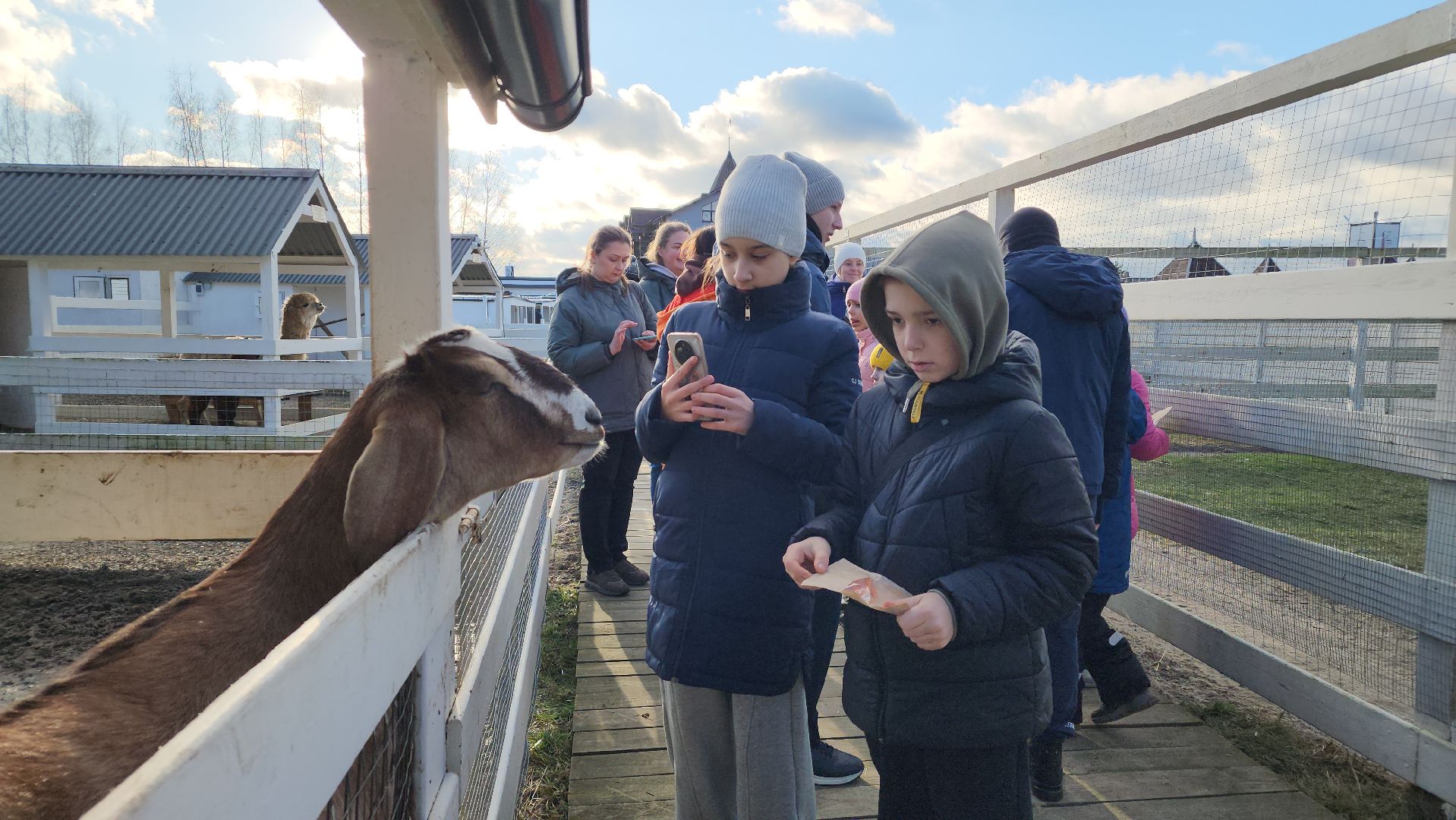 семьи сво, дети, лосино-петровский,