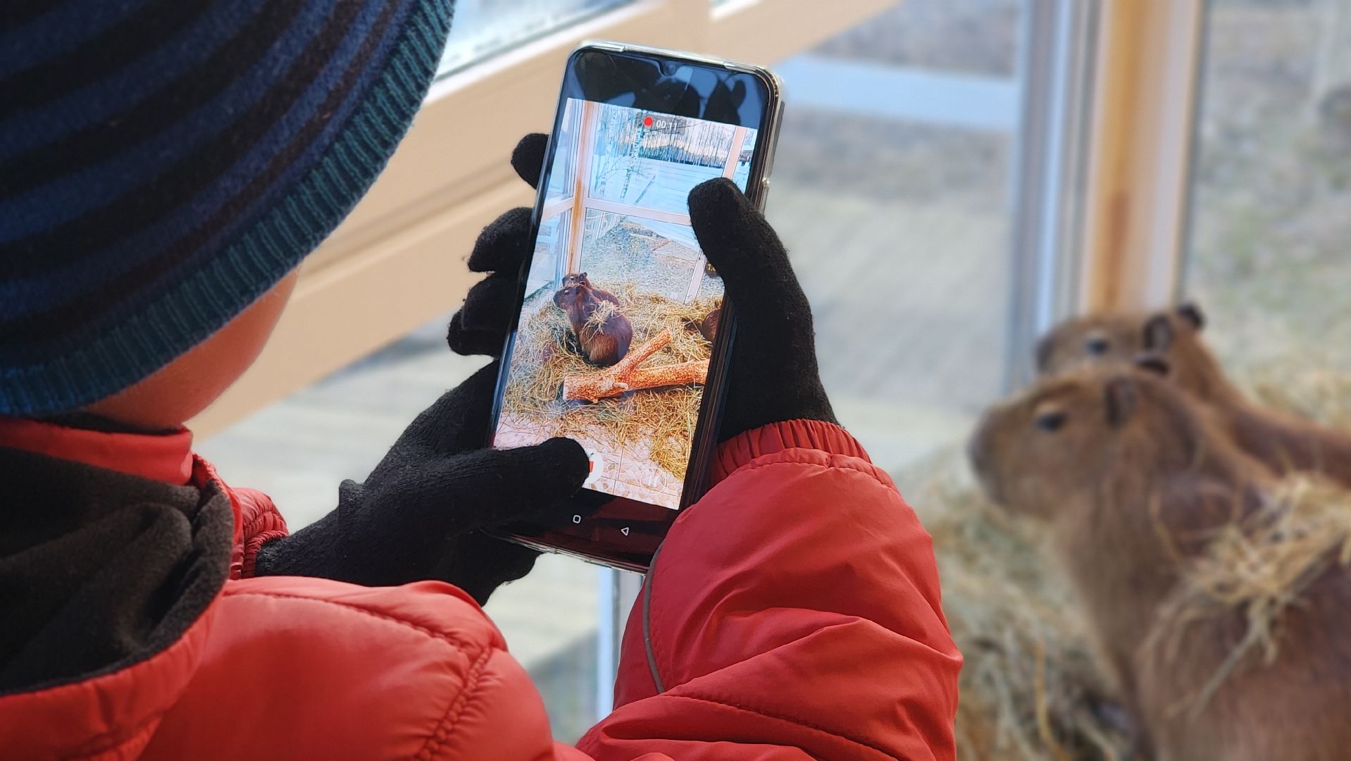 семьи сво, дети, лосино-петровский,