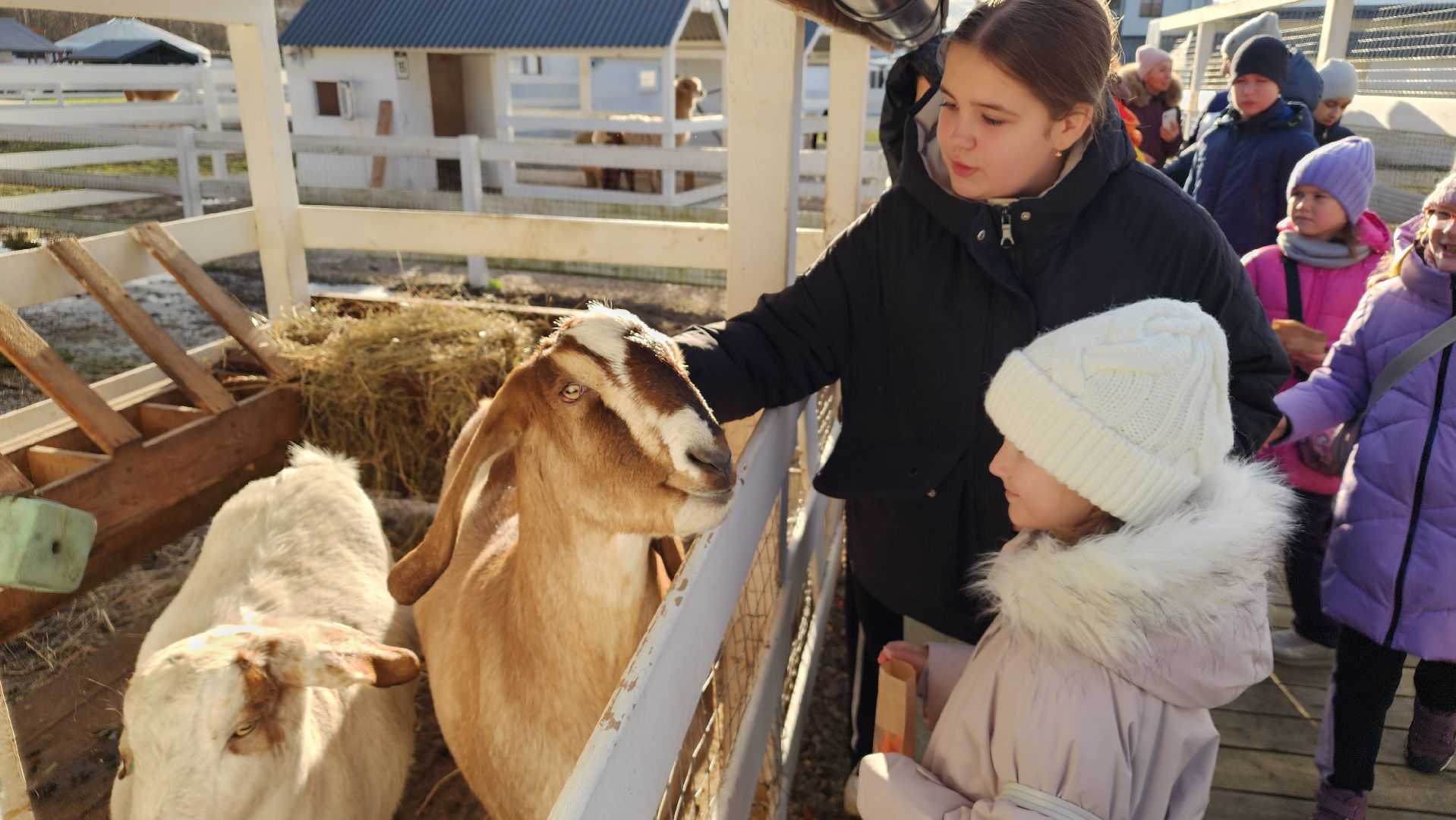 семьи сво, дети, лосино-петровский,