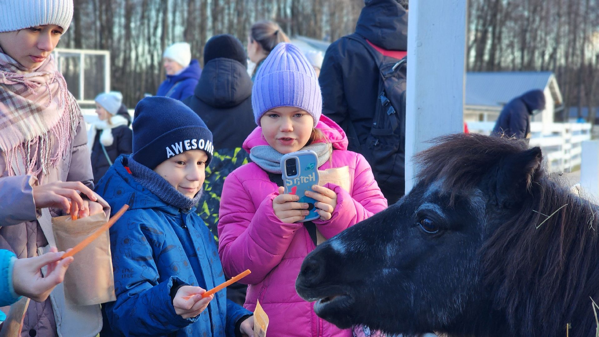 семьи сво, дети, лосино-петровский,
