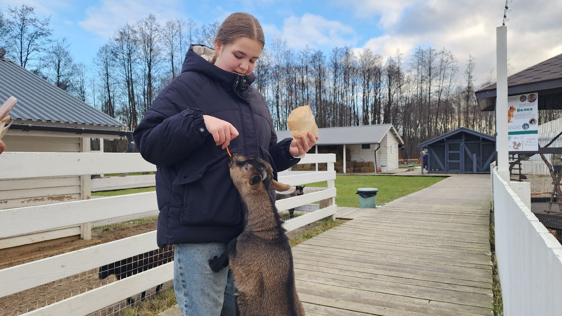 семьи сво, дети, лосино-петровский,