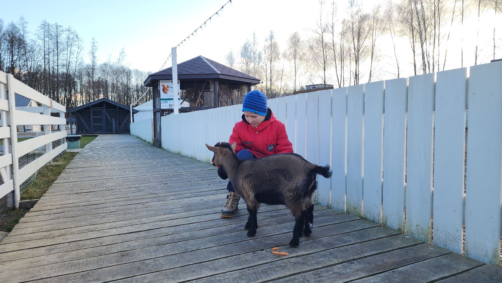 семьи сво, дети, лосино-петровский,