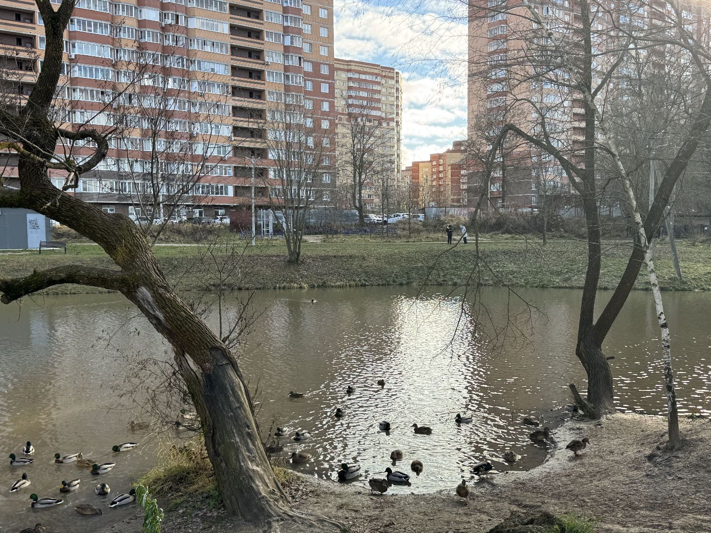 Сергиев Посад, Северные пруды , зона отдыха,