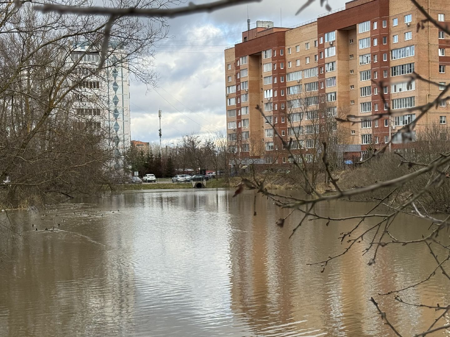 Сергиев Посад, Северные пруды , зона отдыха,