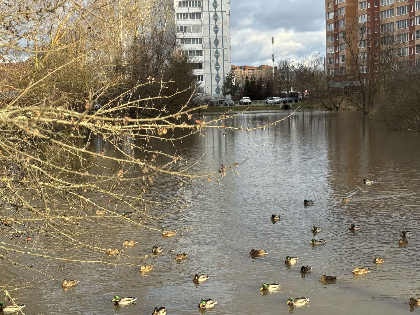 Сергиев Посад, Северные пруды , зона отдыха,