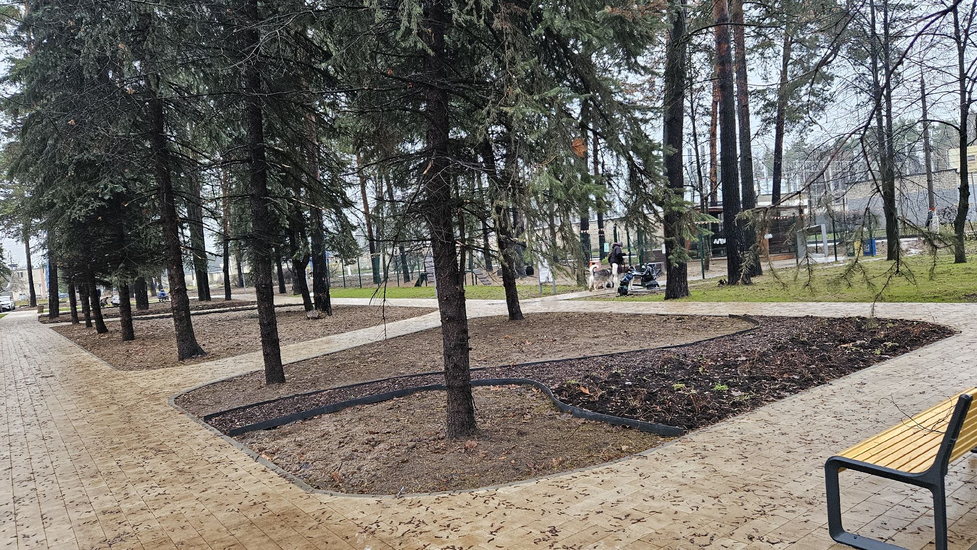 сквер, благоустройство, жуковский,