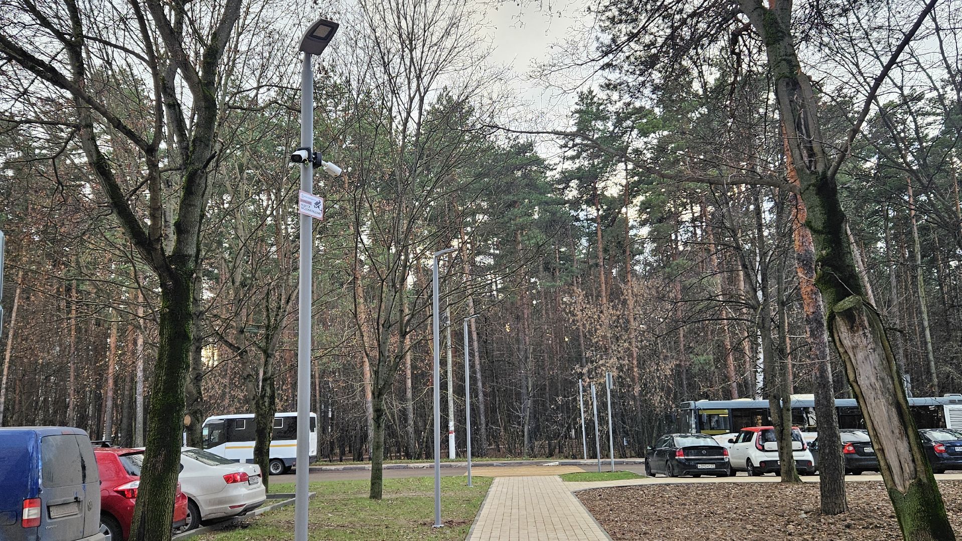 сквер, благоустройство, жуковский,