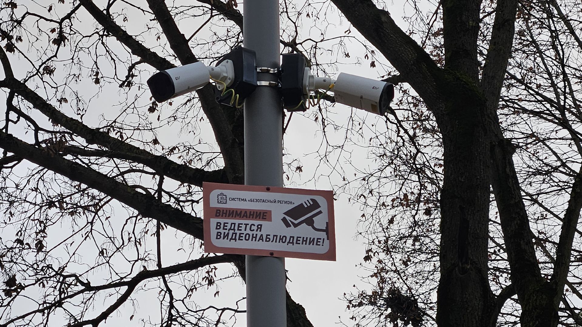 сквер, благоустройство, жуковский,