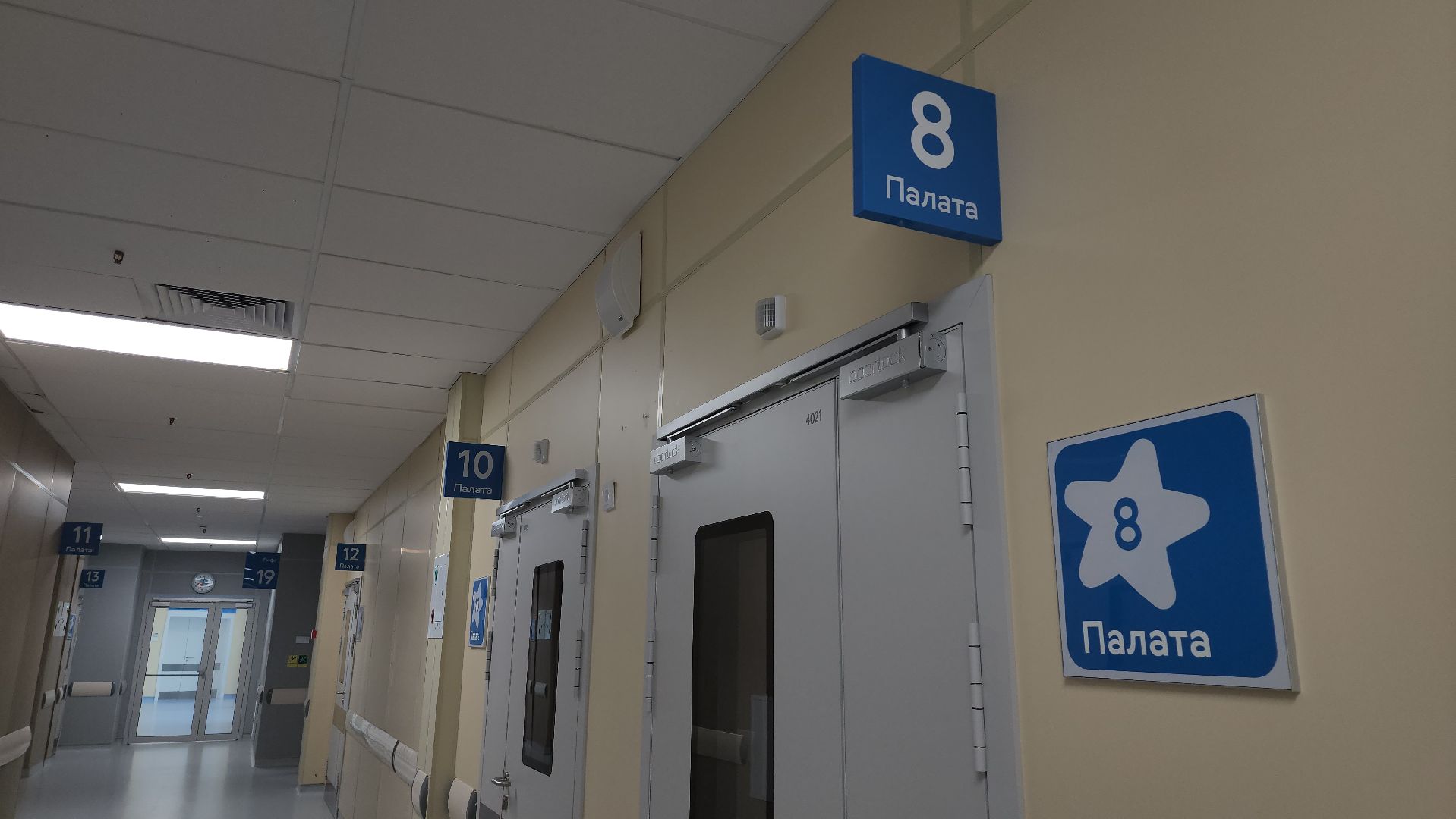 рошаль, красногорск, педиатрия,