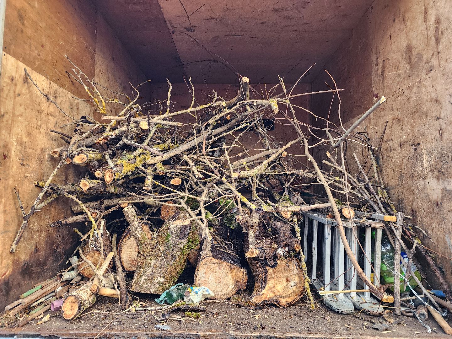 фрязино, удаление аварийных деревьев, мбу городское хозяйство, последствия непогоды,