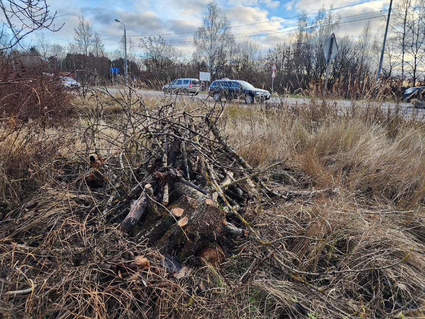 фрязино, удаление аварийных деревьев, мбу городское хозяйство, последствия непогоды,