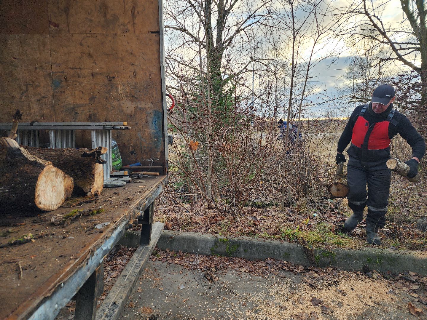 фрязино, удаление аварийных деревьев, мбу городское хозяйство, последствия непогоды,
