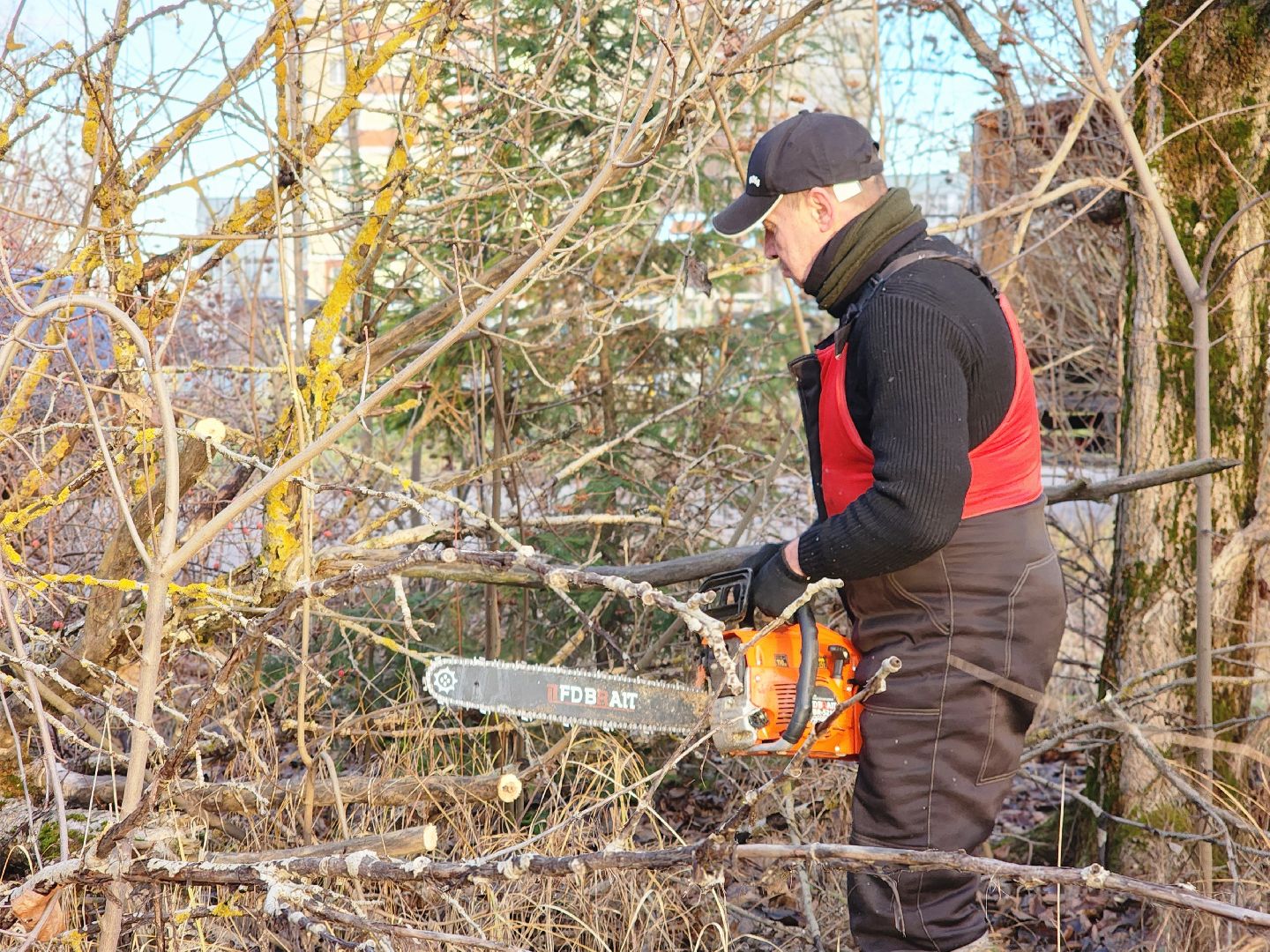 фрязино, удаление аварийных деревьев, мбу городское хозяйство, последствия непогоды,