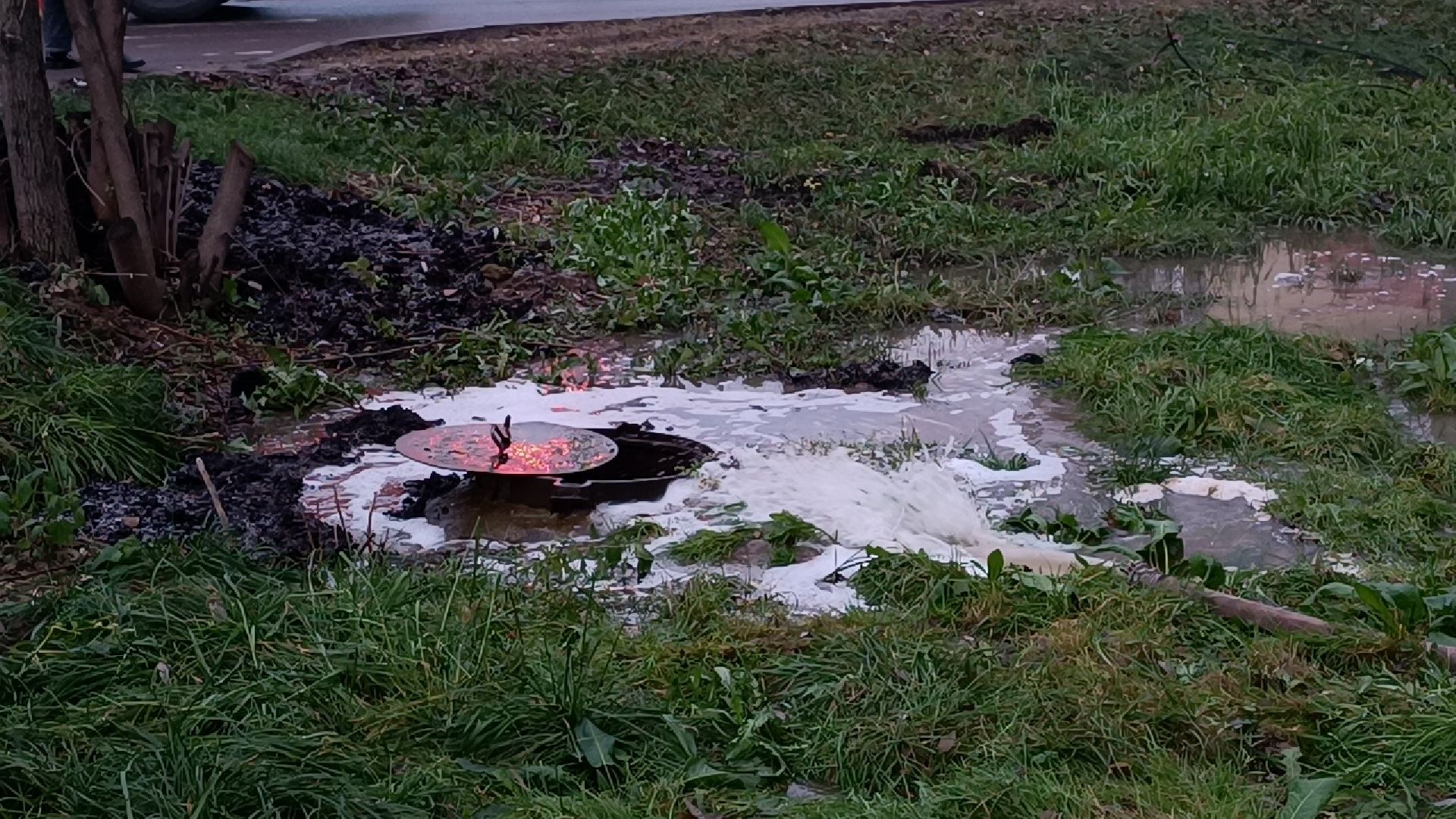 парк, вода, жкх,