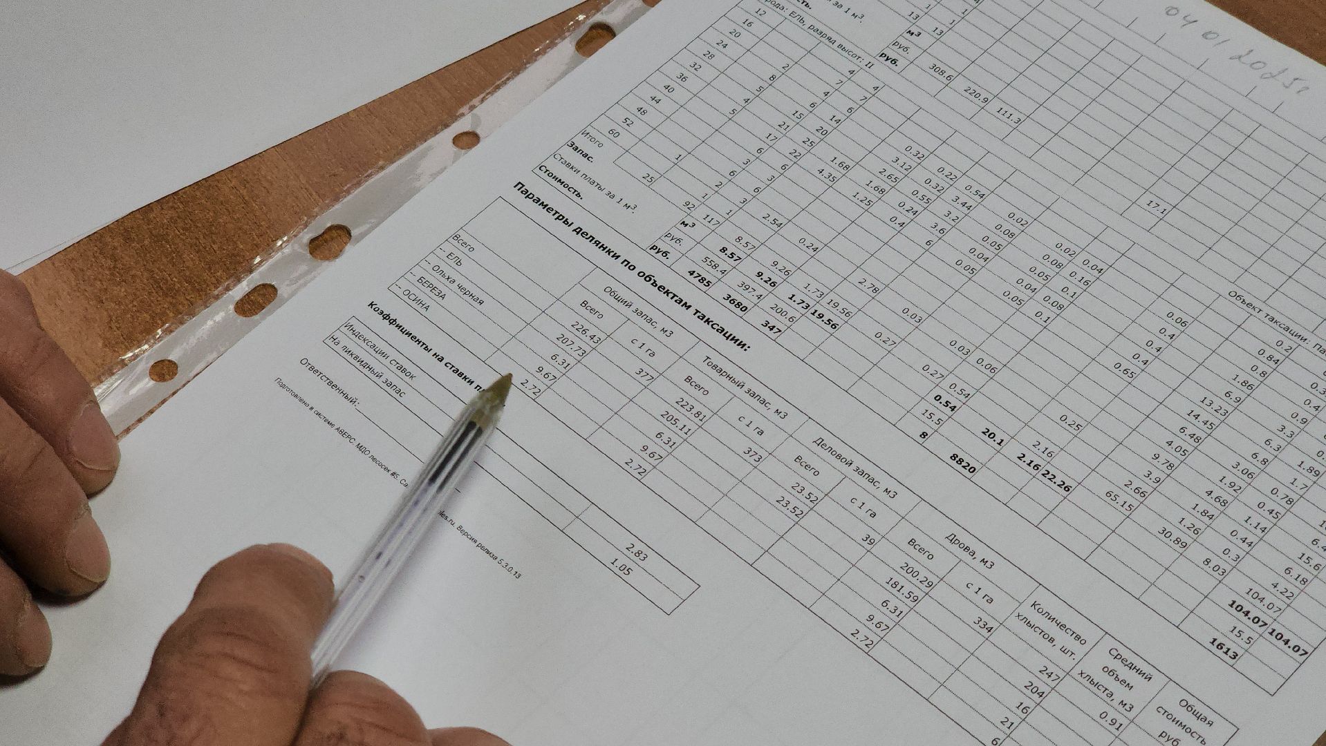 Руза, Мособллес, кремлевская елка,