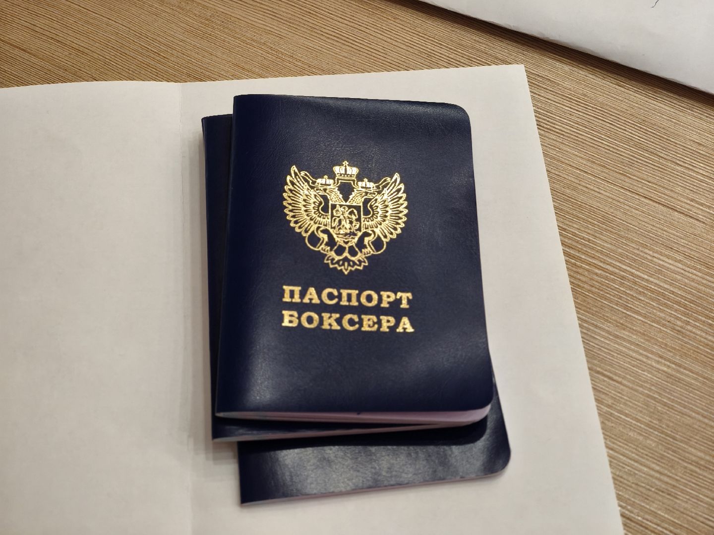 одинцовский городской округ, бокс, турнир памяти,