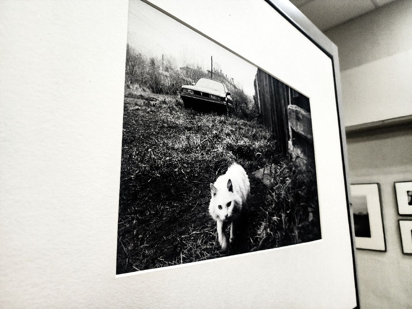 культура, пущино, серпухов, выставка,