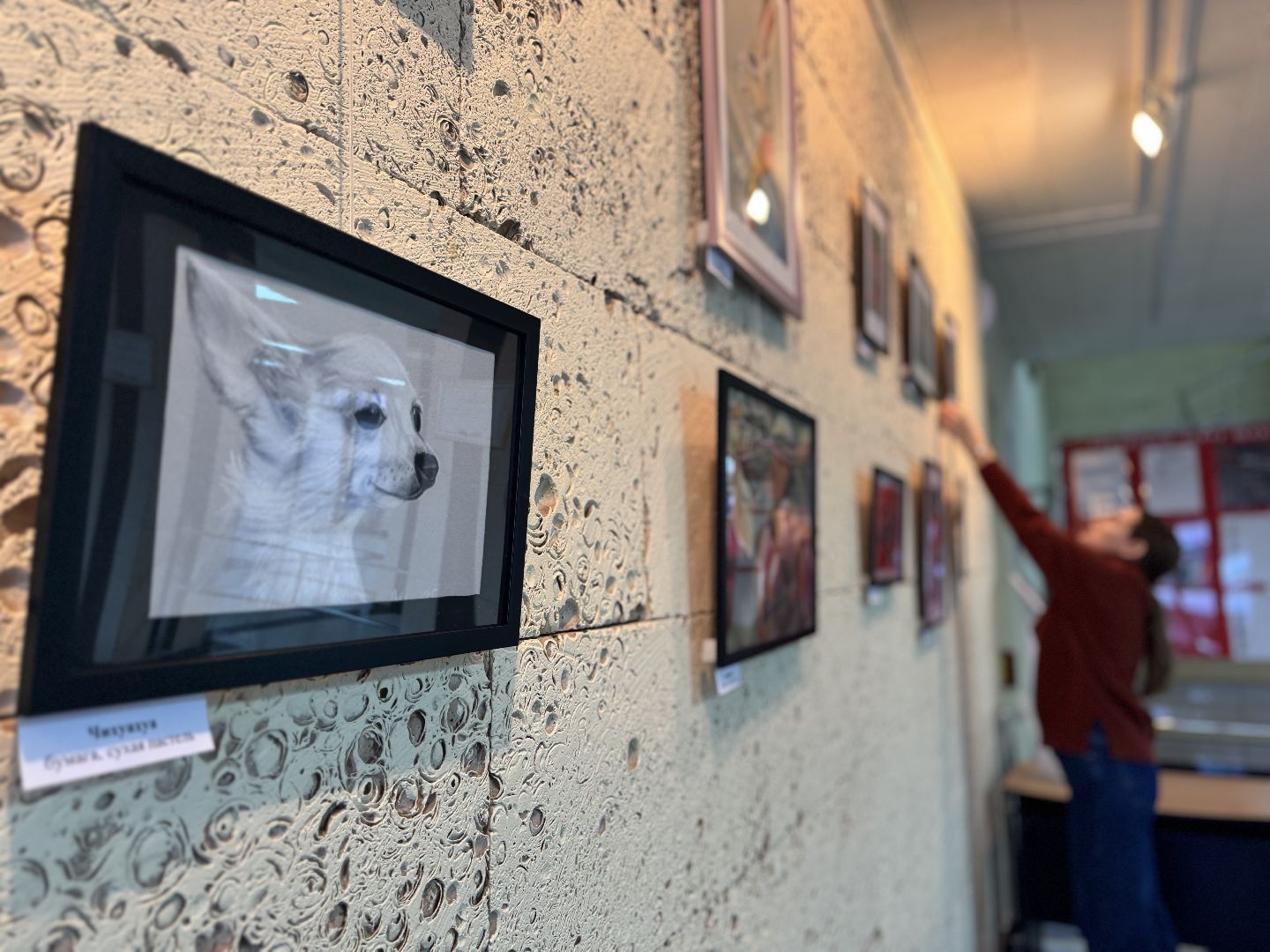 шаховская, новая выставка, учитель, преподаватель,