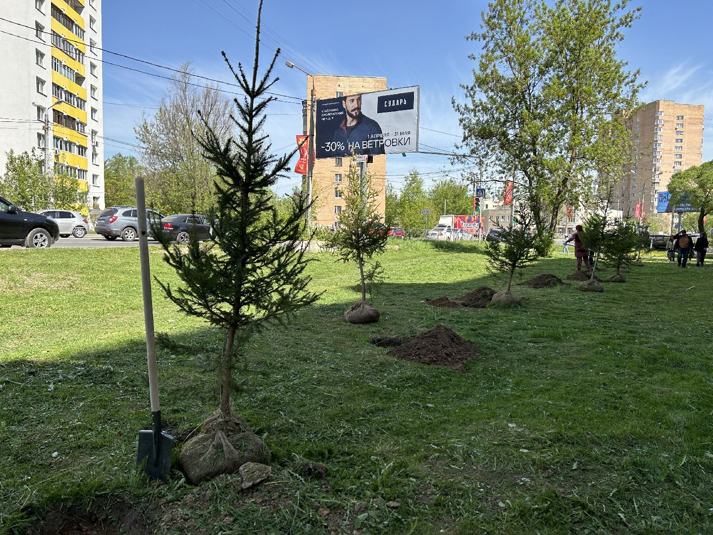 лес победы, акция, экология, Фрязино