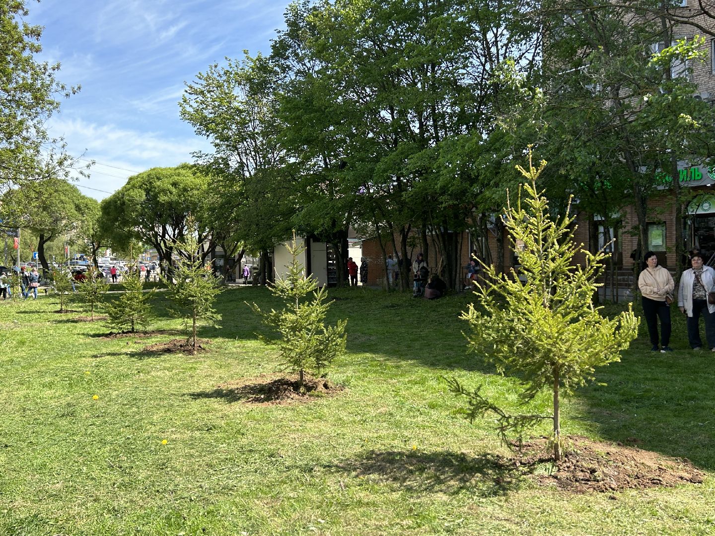 лес победы, акция, экология, Фрязино