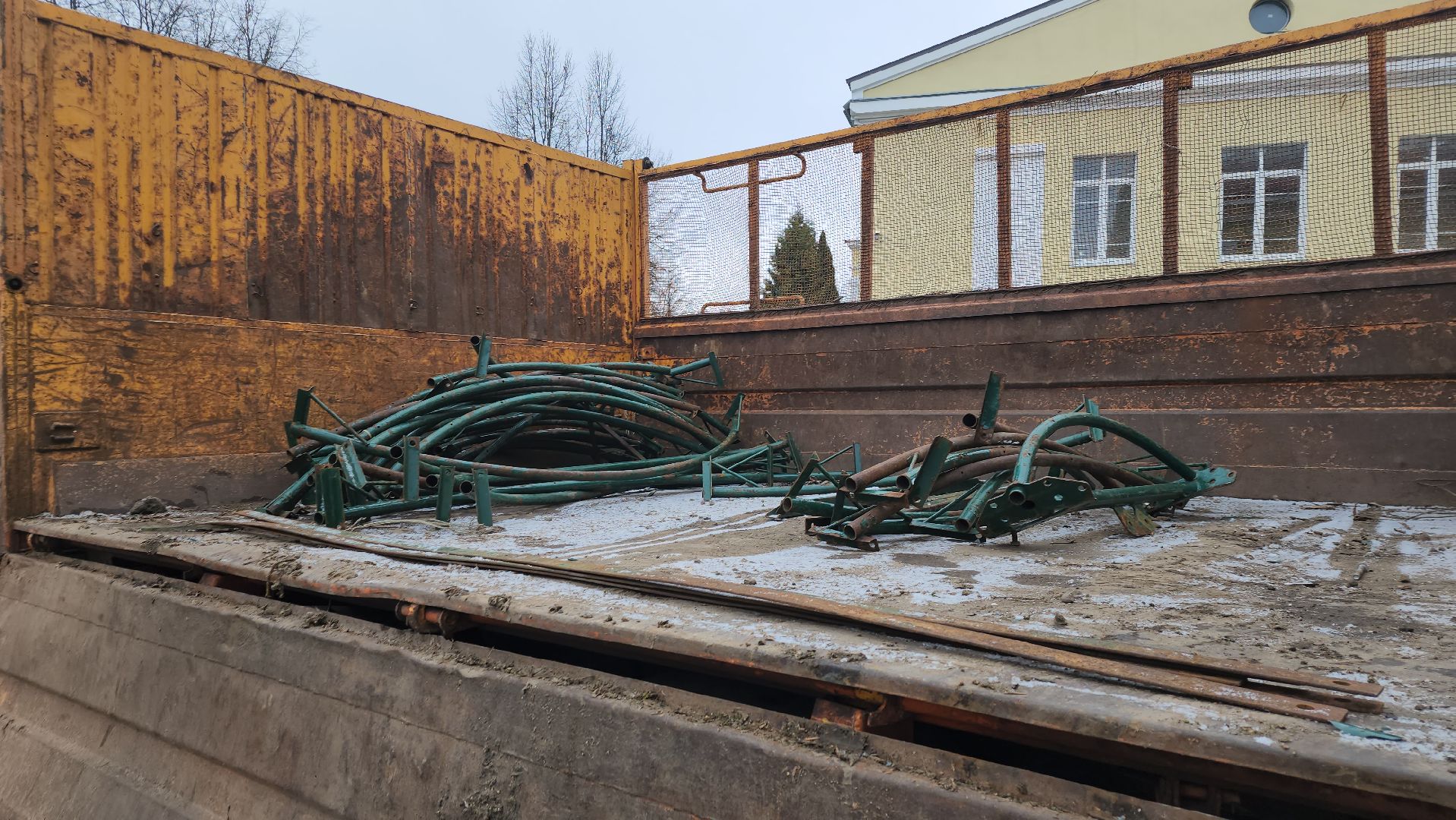 дедовск, ёлка,