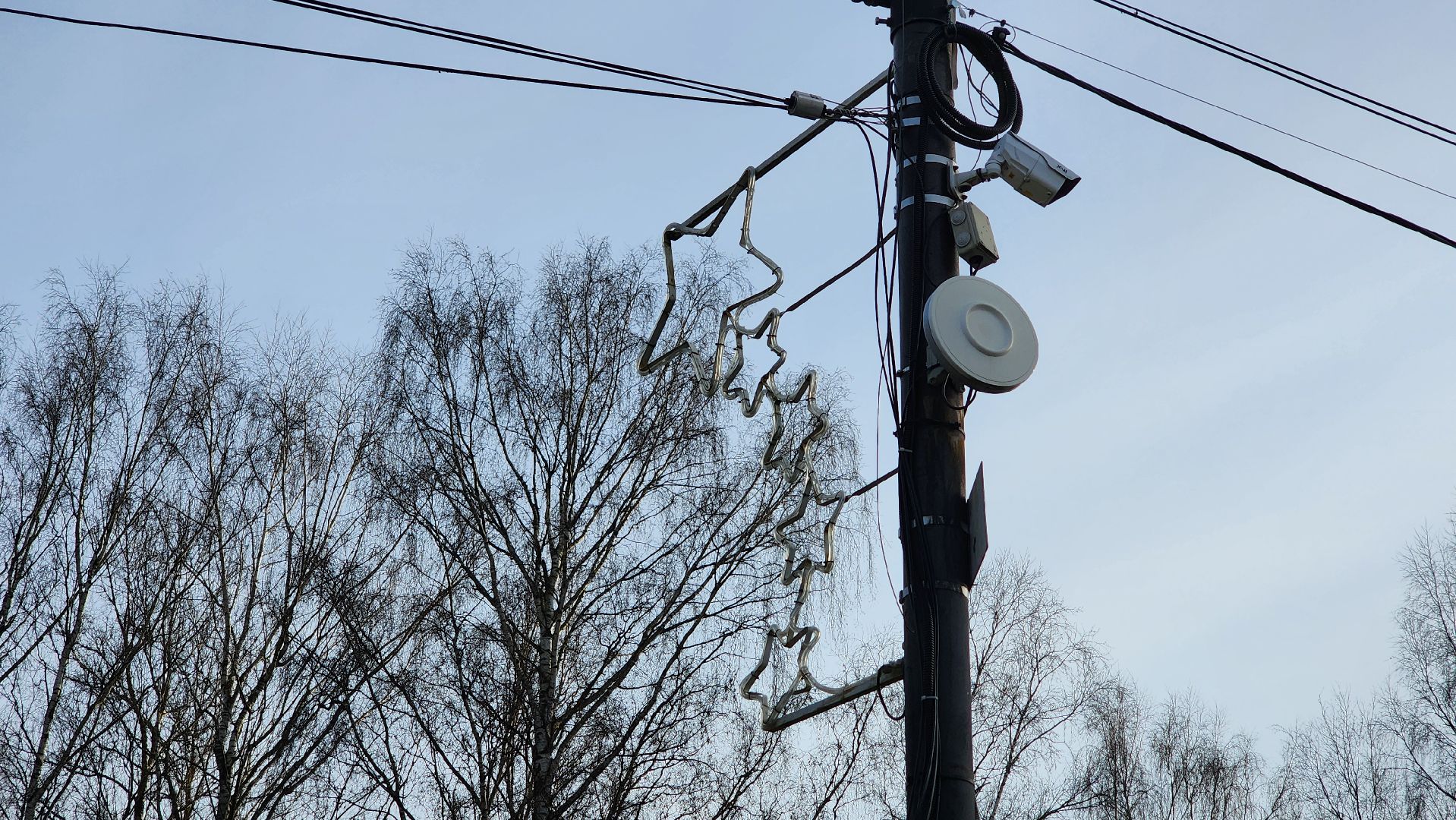 клин, сестрорецкий парк, украшения, резиденция деда мороза, новый год,