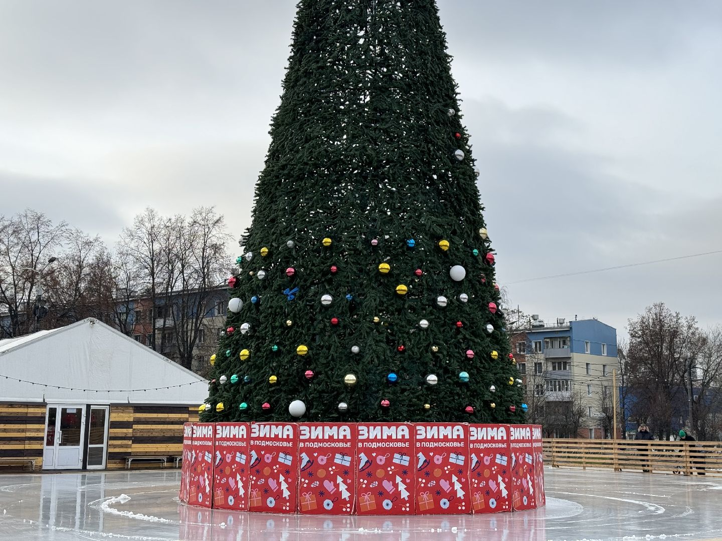 новогодняя елка, ленинский округ, украсили город, зима в подмосковье,